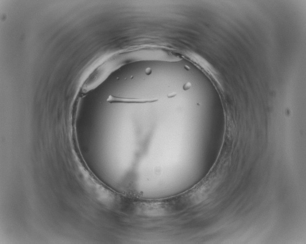 X0000062171431200512091419