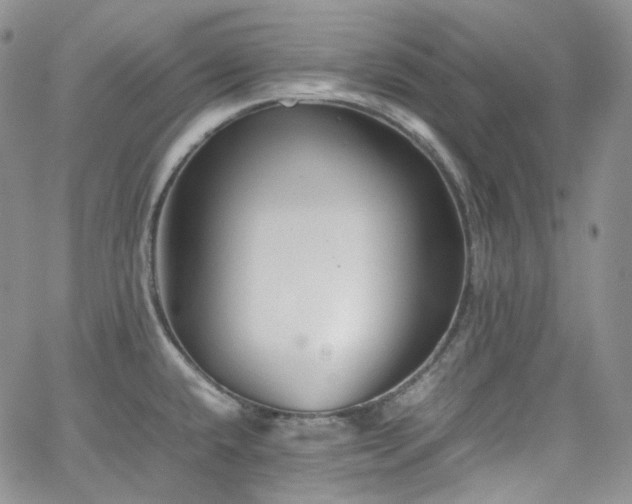 X0000062171432200512091419