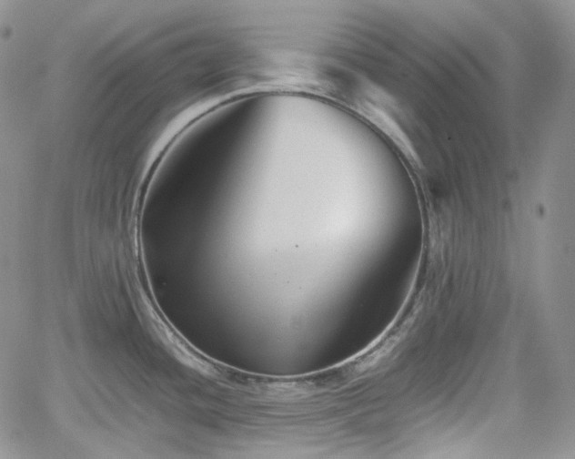 X0000062171436200512091419