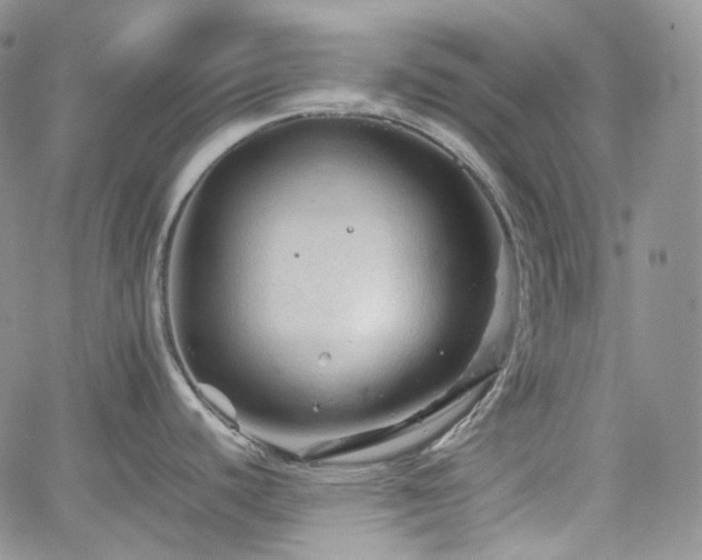 X0000062171440200512091419