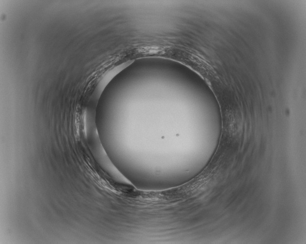 X0000062171442200512091418