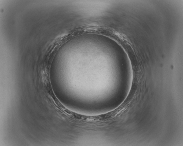 X0000062171445200512091418