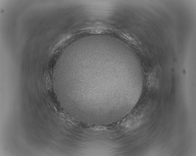 X0000062171446200512091418
