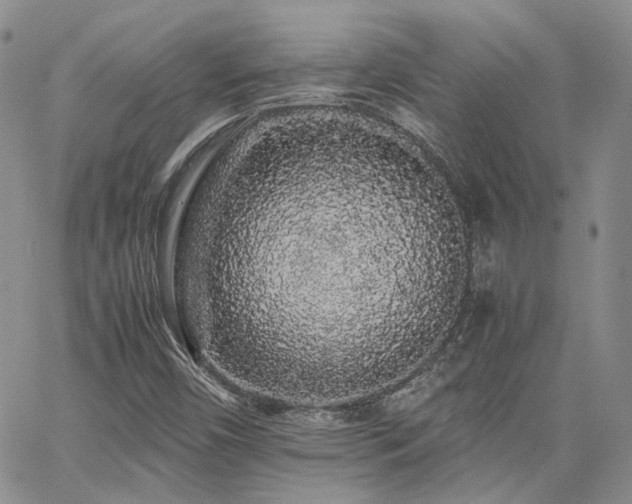 X0000062171450200512091418