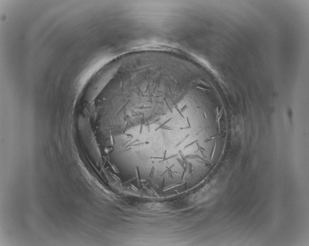 X0000062171463200512091418