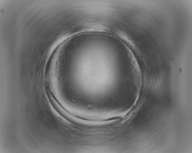 X0000062171471200512091417