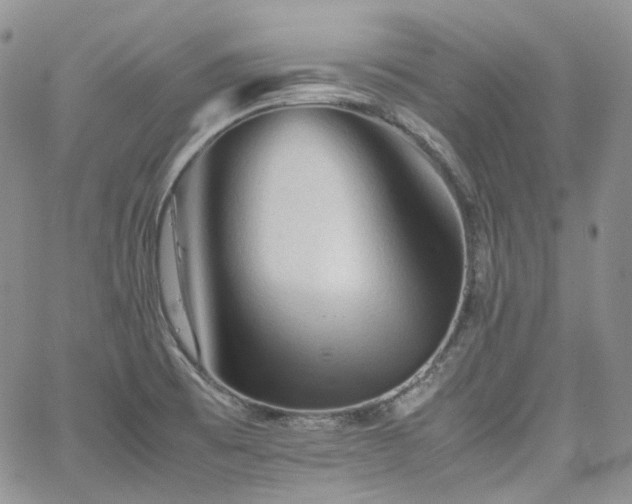 X0000062171473200512091417