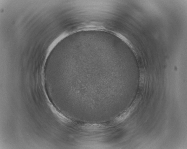 X0000062171474200512091417
