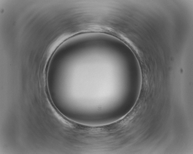 X0000062171479200512091417