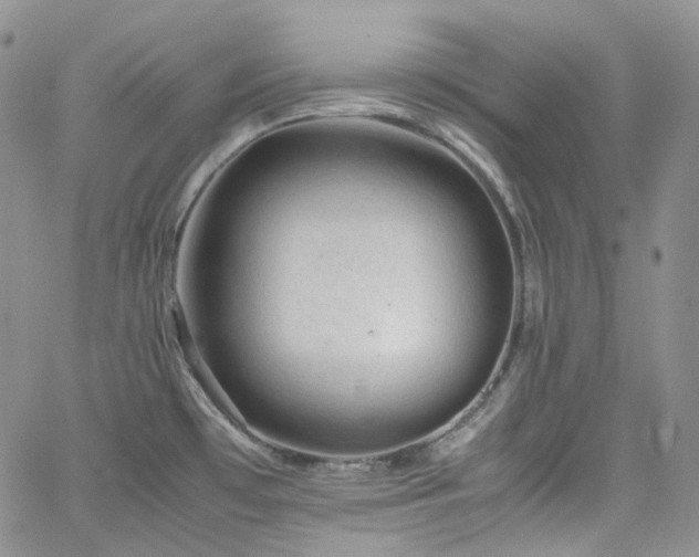 X0000062171481200512091417