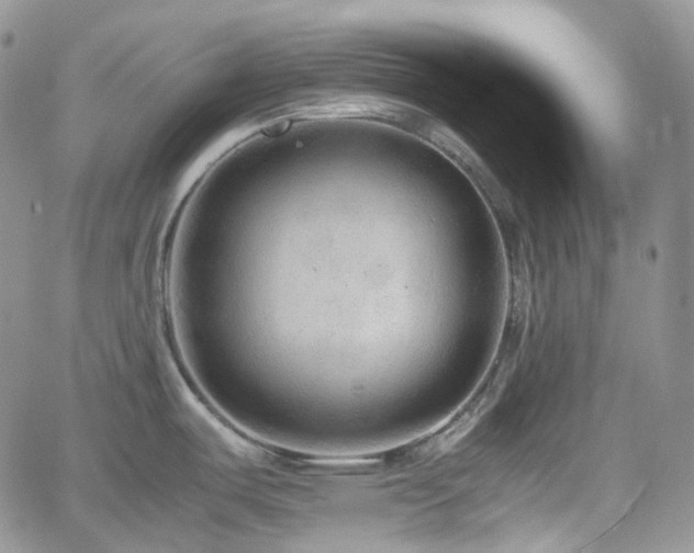 X0000062171487200512091417