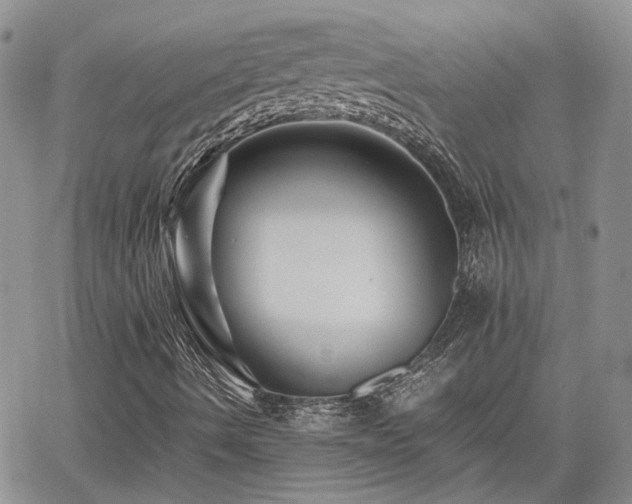 X0000062171490200512091416