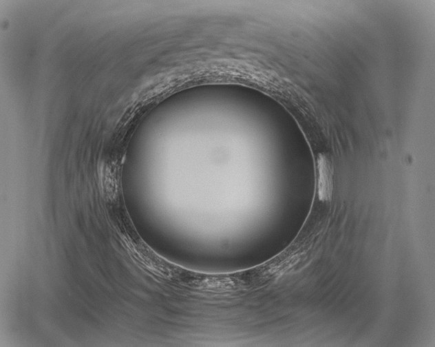 X0000062171491200512091416