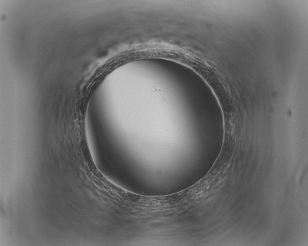 X0000062171493200512091416