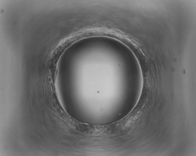 X0000062171494200512091417