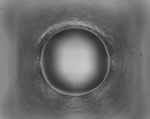 X0000062171495200512091417