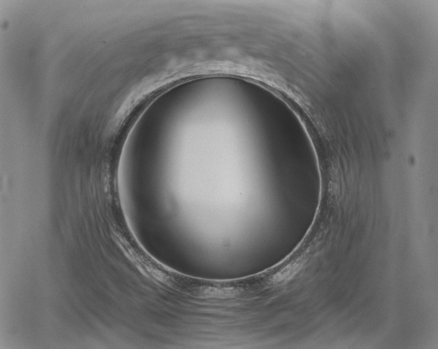 X0000062171499200512091417