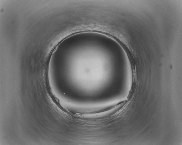 X0000062171500200512091417