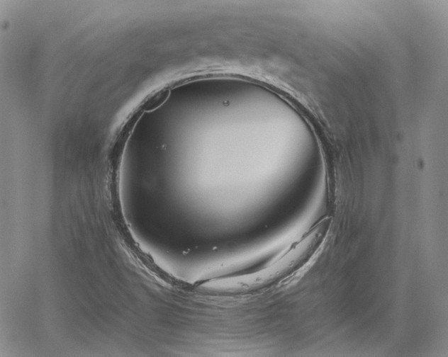 X0000062171502200512091417