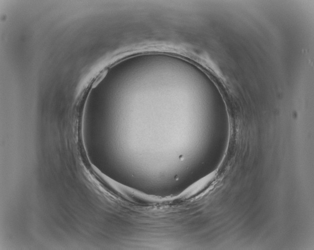 X0000062171504200512091417