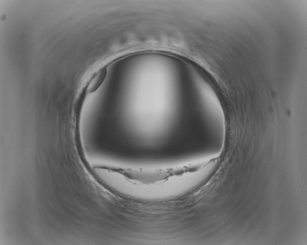 X0000062171508200512091417