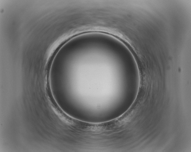 X0000062171511200512091417