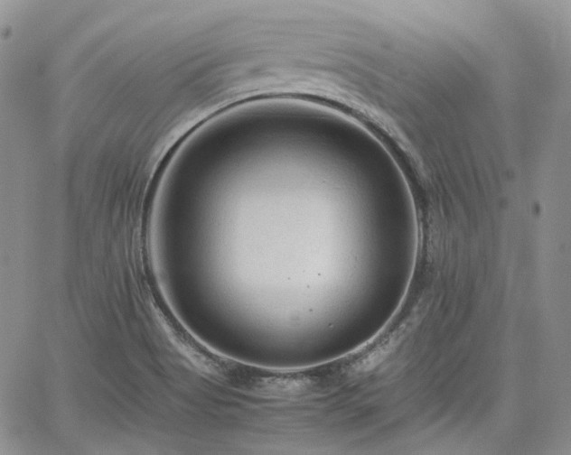 X0000062171513200512091417