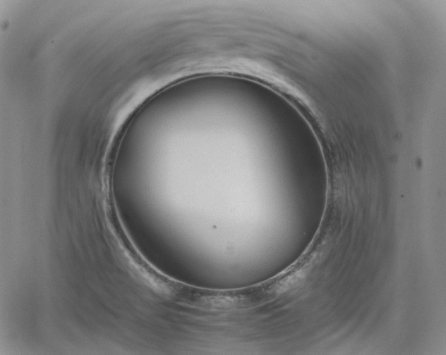 X0000062171517200512091417