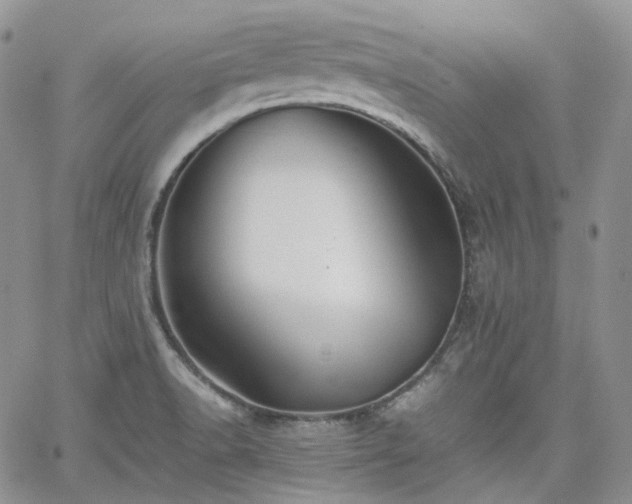 X0000062171518200512091417