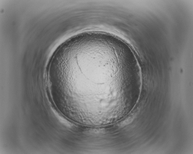 X0000062171519200512091417