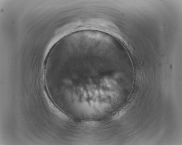 X0000062171522200512091417