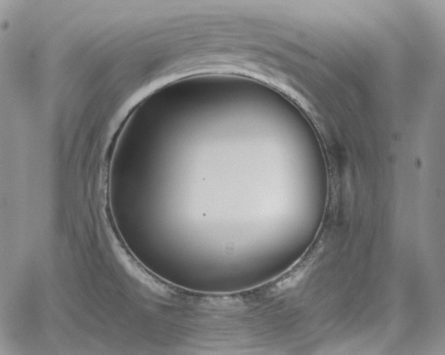 X0000062171526200512091417