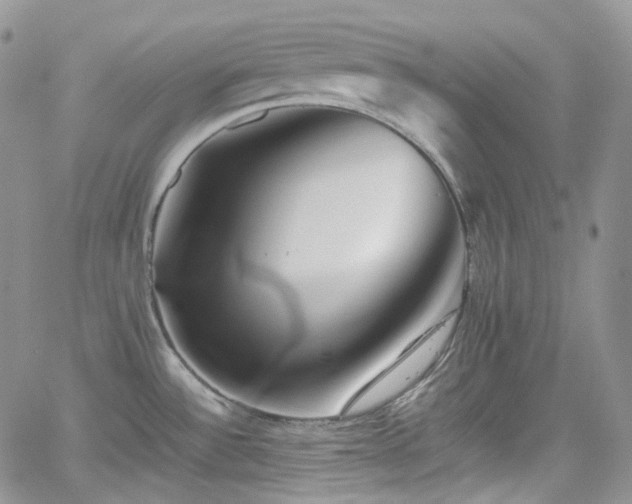 X0000062171532200512091417