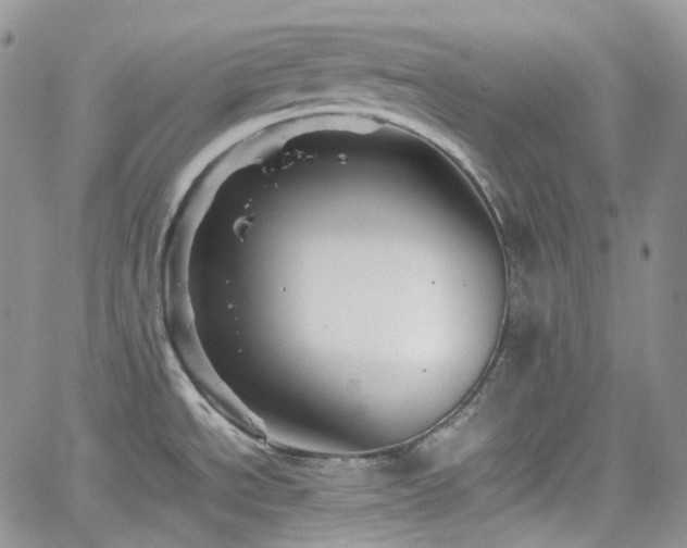X0000062171534200512091417