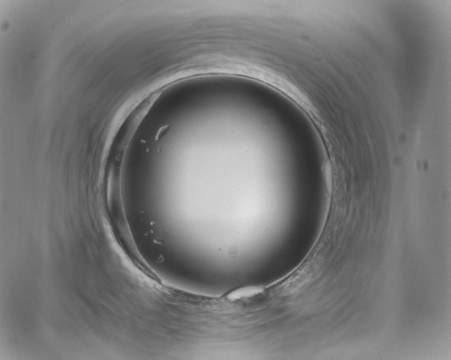 X0000062171536200512091417