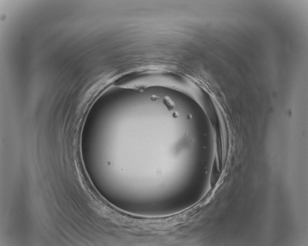 X0000062170001200512121252