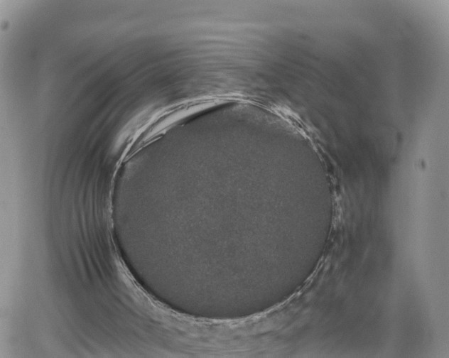 X0000062170002200512121252