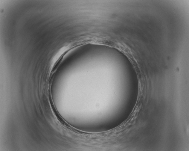 X0000062170003200512121252