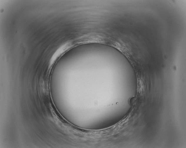 X0000062170004200512121252