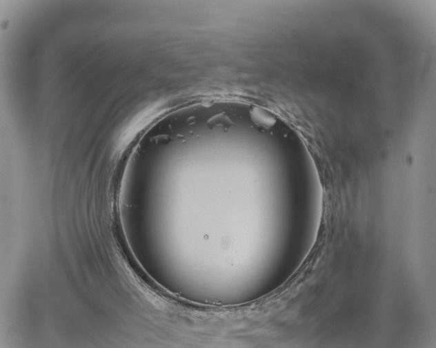 X0000062170005200512121252