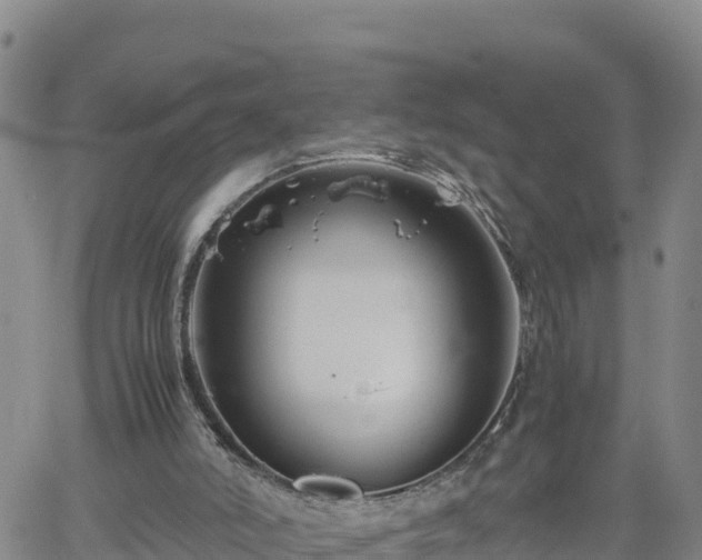 X0000062170006200512121252