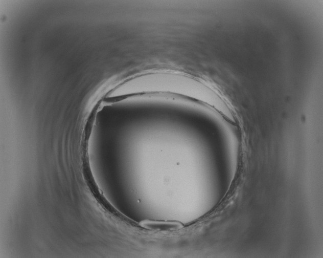 X0000062170007200512121252