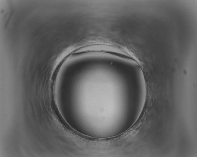 X0000062170008200512121252