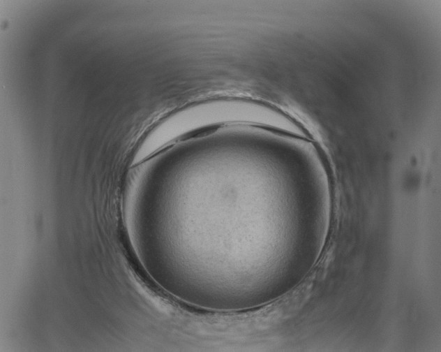 X0000062170009200512121252