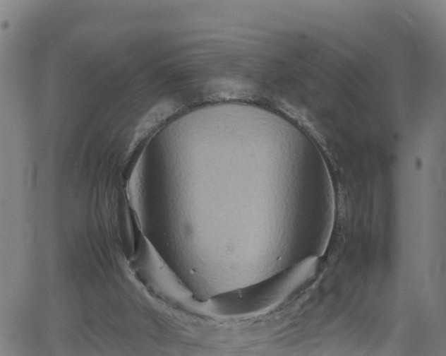 X0000062170010200512121252