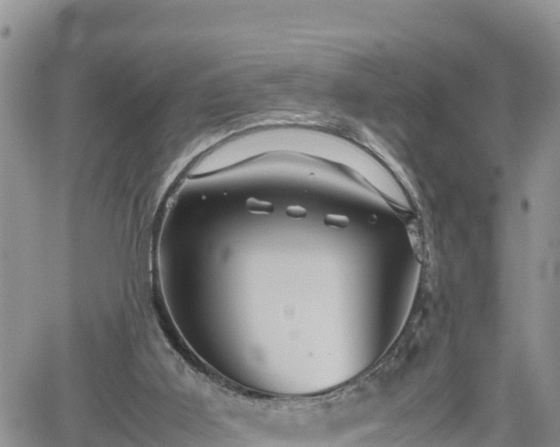 X0000062170011200512121252