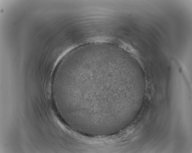 X0000062170012200512121252