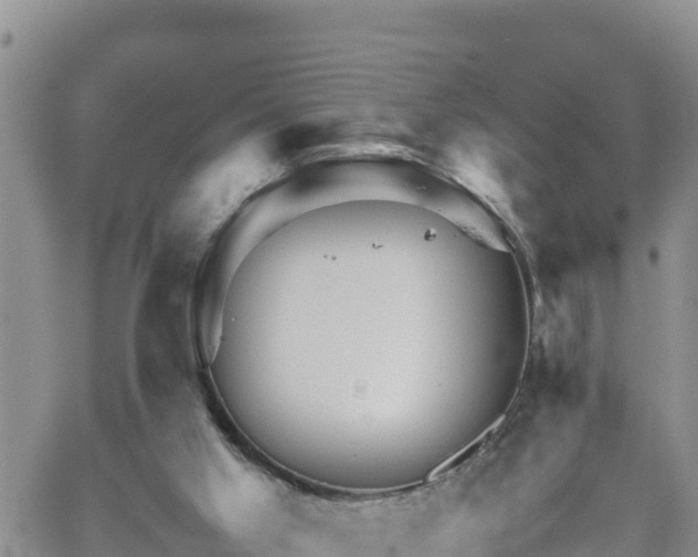 X0000062170013200512121252