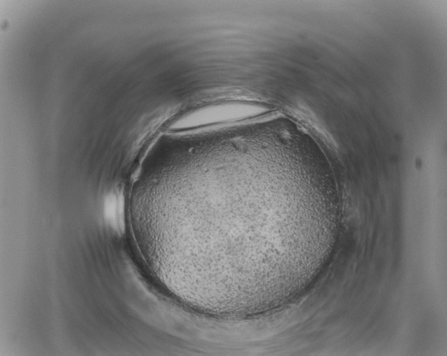 X0000062170014200512121252