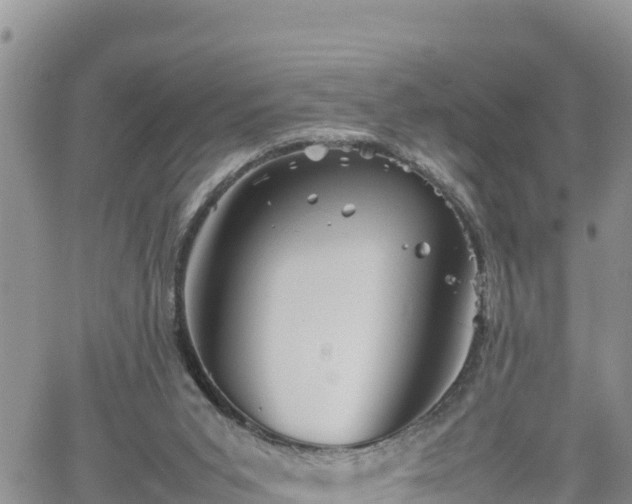 X0000062170015200512121252